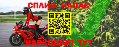 сатива Славгород