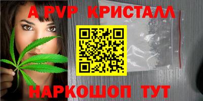 стафф Славянск-на-Кубани